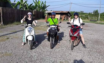 Welcome to Green Frog Adventure