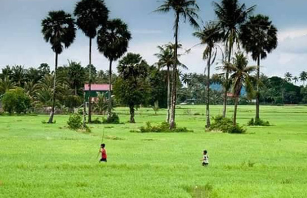 The Best Countryside Tour
